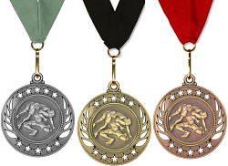 Wrestling Medal Galaxy Edition Gold, Silver & Bronze